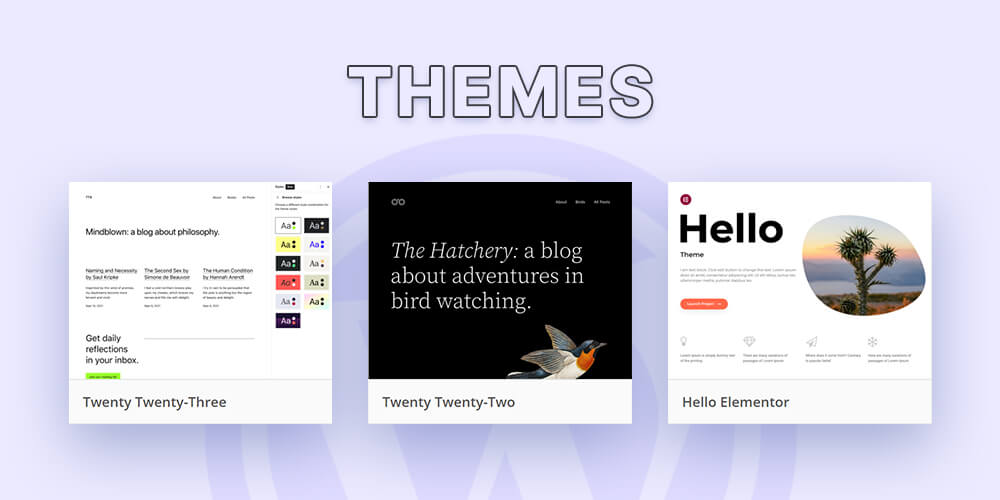 WordPress themes. 