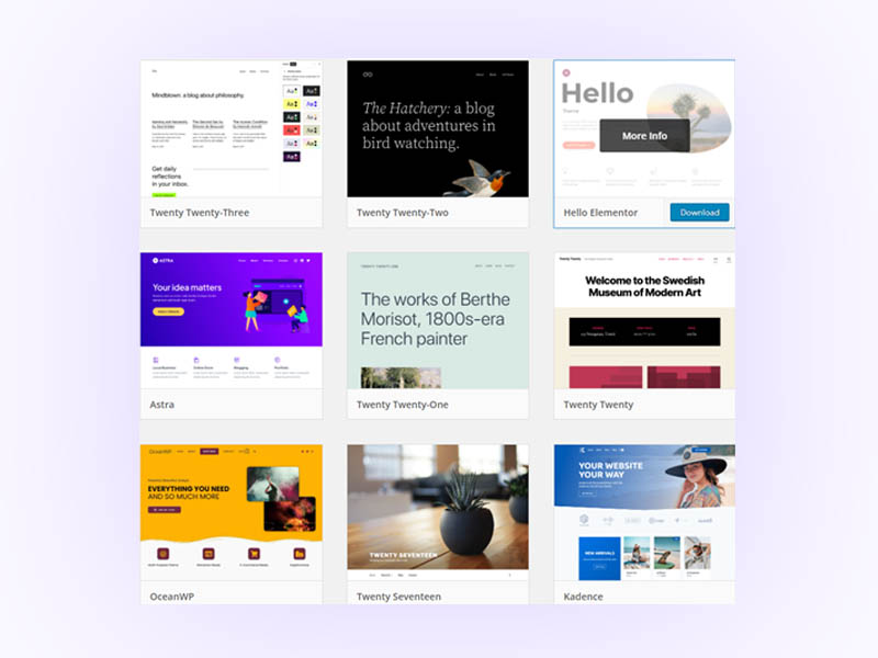 choose wordpress theme 